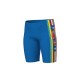 BOY'S ARENA PALETTE SWIM JAMMER 