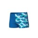 BOY'S ARENA LOGO GRAPHIC SWIM SHORT BLUE RIVER WATER MULTI