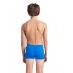 BOYS ARENA POOL TILES SWIM SHORT BLUE RIVER BLUE MULTI